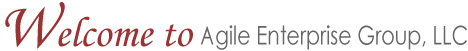 Welcome to Agile-Enterprise Group, LLC